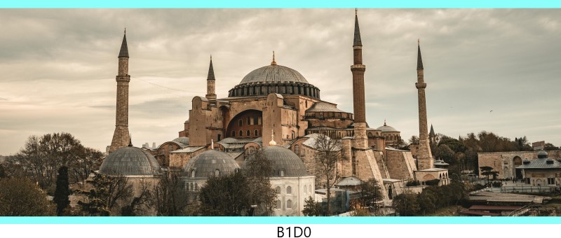 b1d0 c