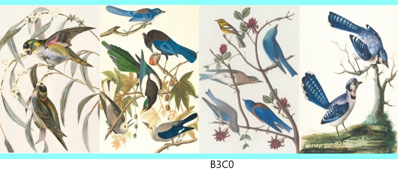 b3c0 c