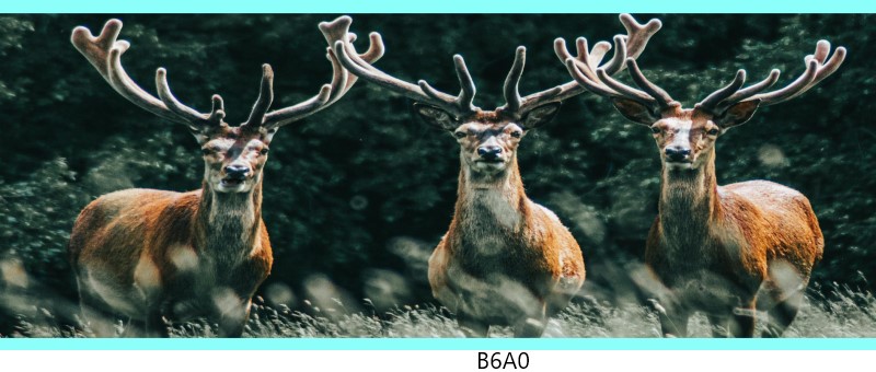 b6a0 c