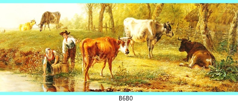 b6b0 c