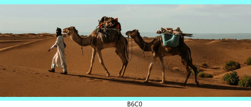 b6c0 c