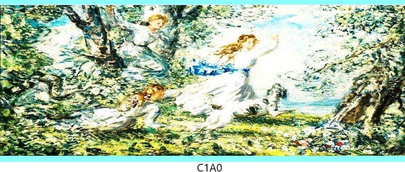 c1a0 c