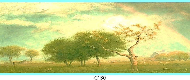 c1b0 c