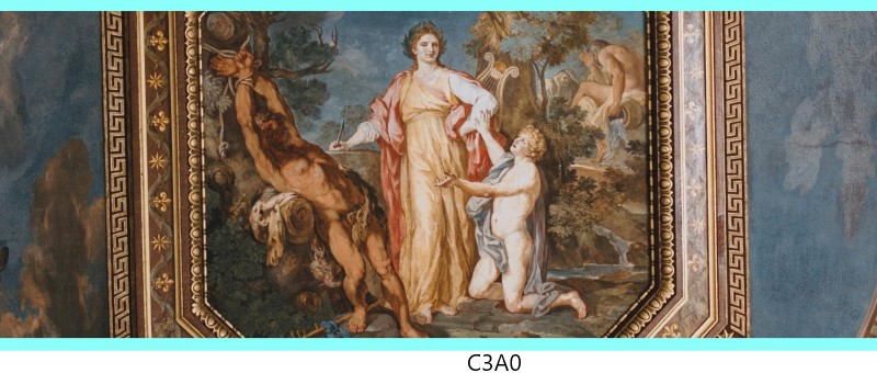 c3a0 c