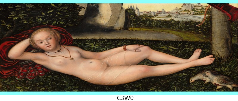 c3w0 c