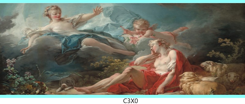 c3x0 c