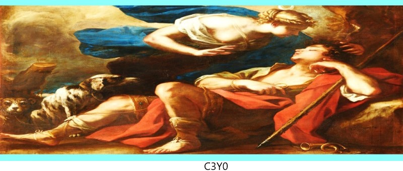c3y0 c