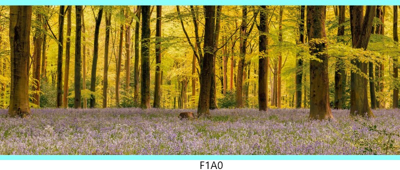 f1a0 c