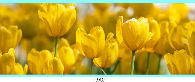 f3a0 c