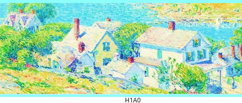 h1a0 c