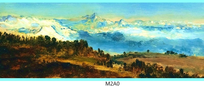 m2a0 c