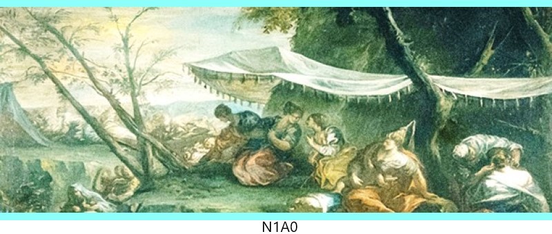 n1a0 c