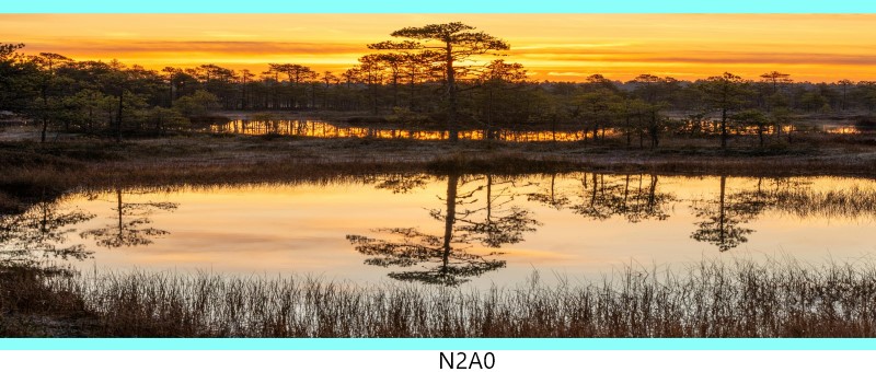 n2a0 c