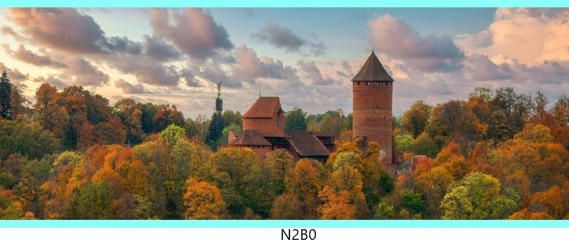 n2b0 c
