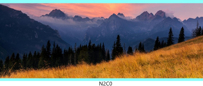n2c0 c