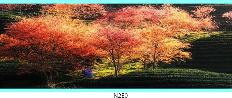n2e0 c