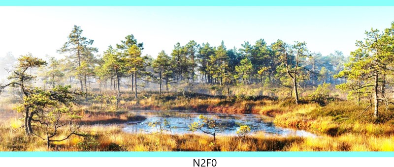 n2f0 c