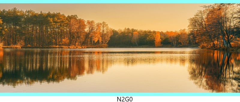 n2g0 c