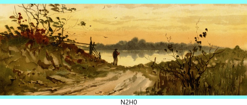 n2h0 c