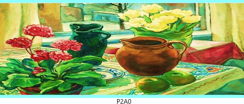 p2a0 c