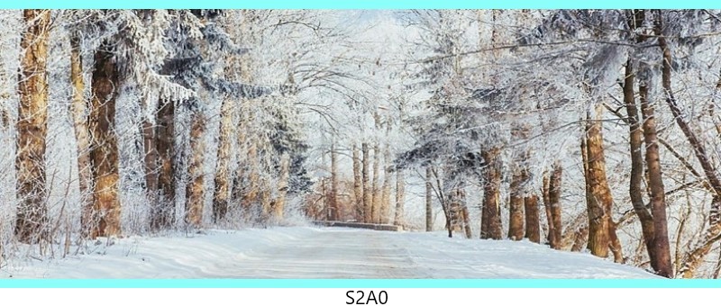 s2a0 c