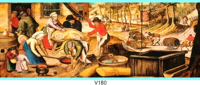 v1b0 c